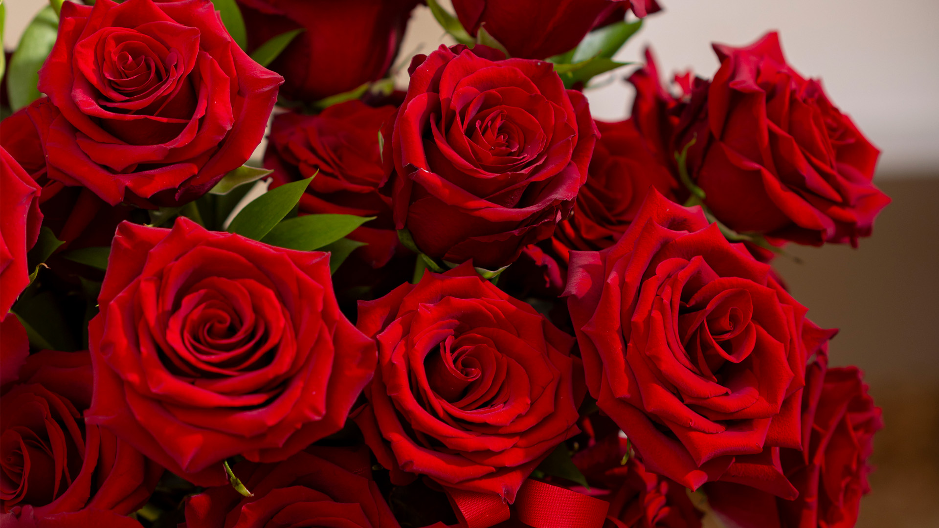 Flor 8